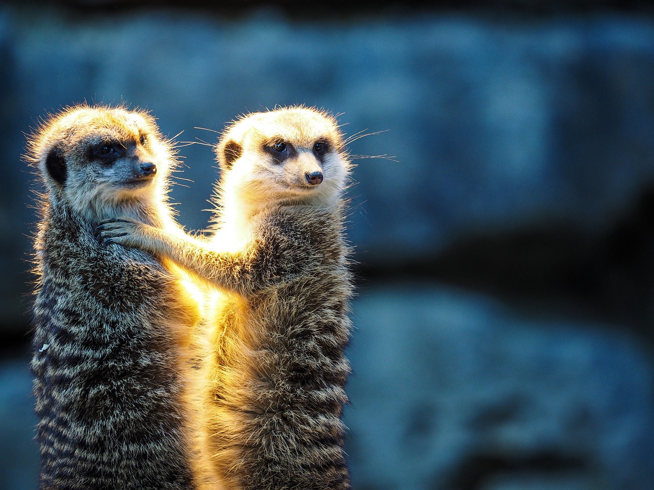 The Ethical Concerns of Studying Consciousness